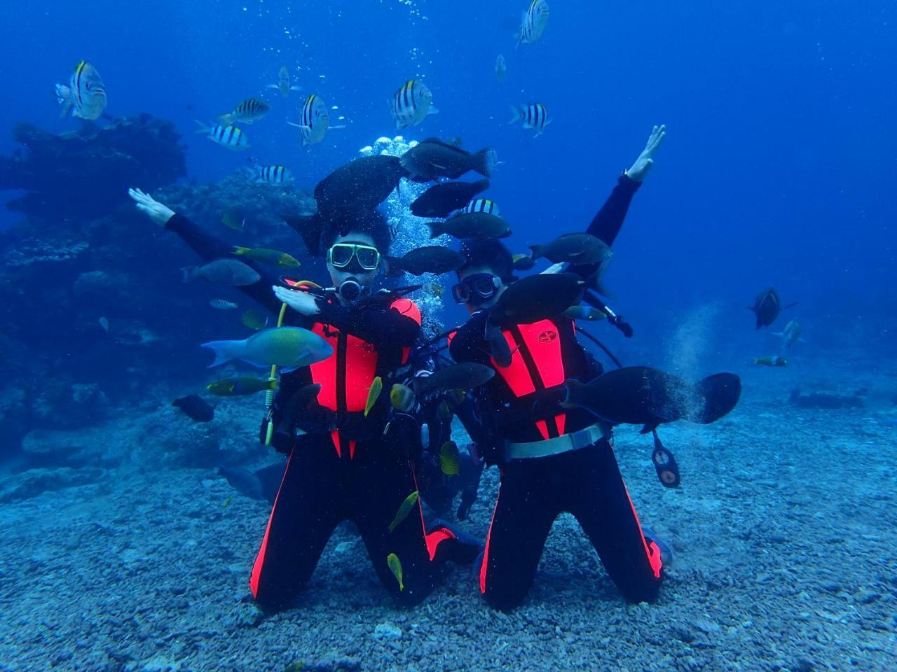גרין איילנד Qing Feng Diving B&B מראה חיצוני תמונה