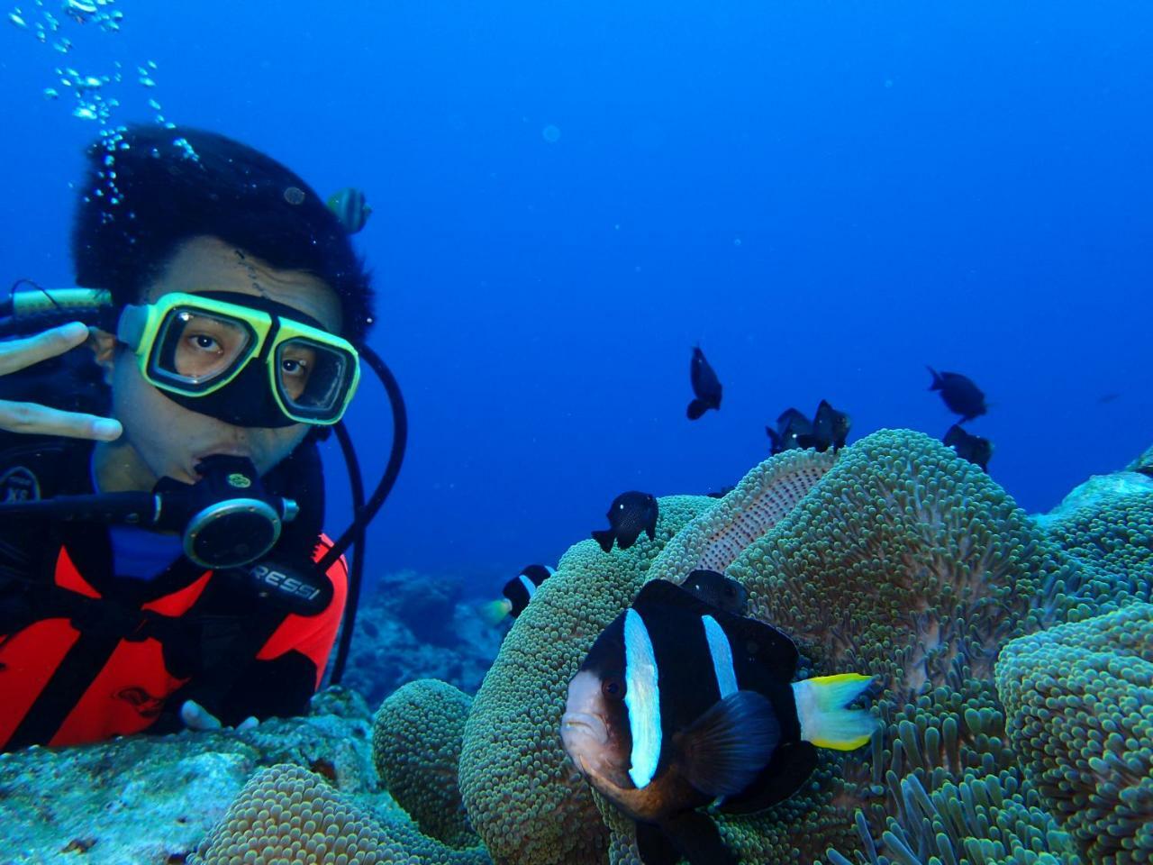 גרין איילנד Qing Feng Diving B&B מראה חיצוני תמונה
