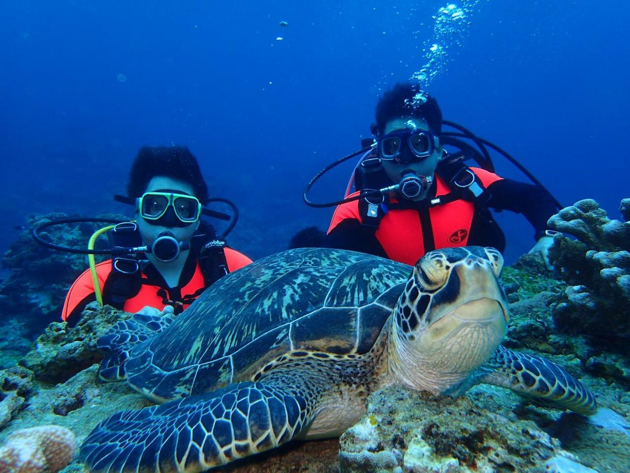 גרין איילנד Qing Feng Diving B&B מראה חיצוני תמונה