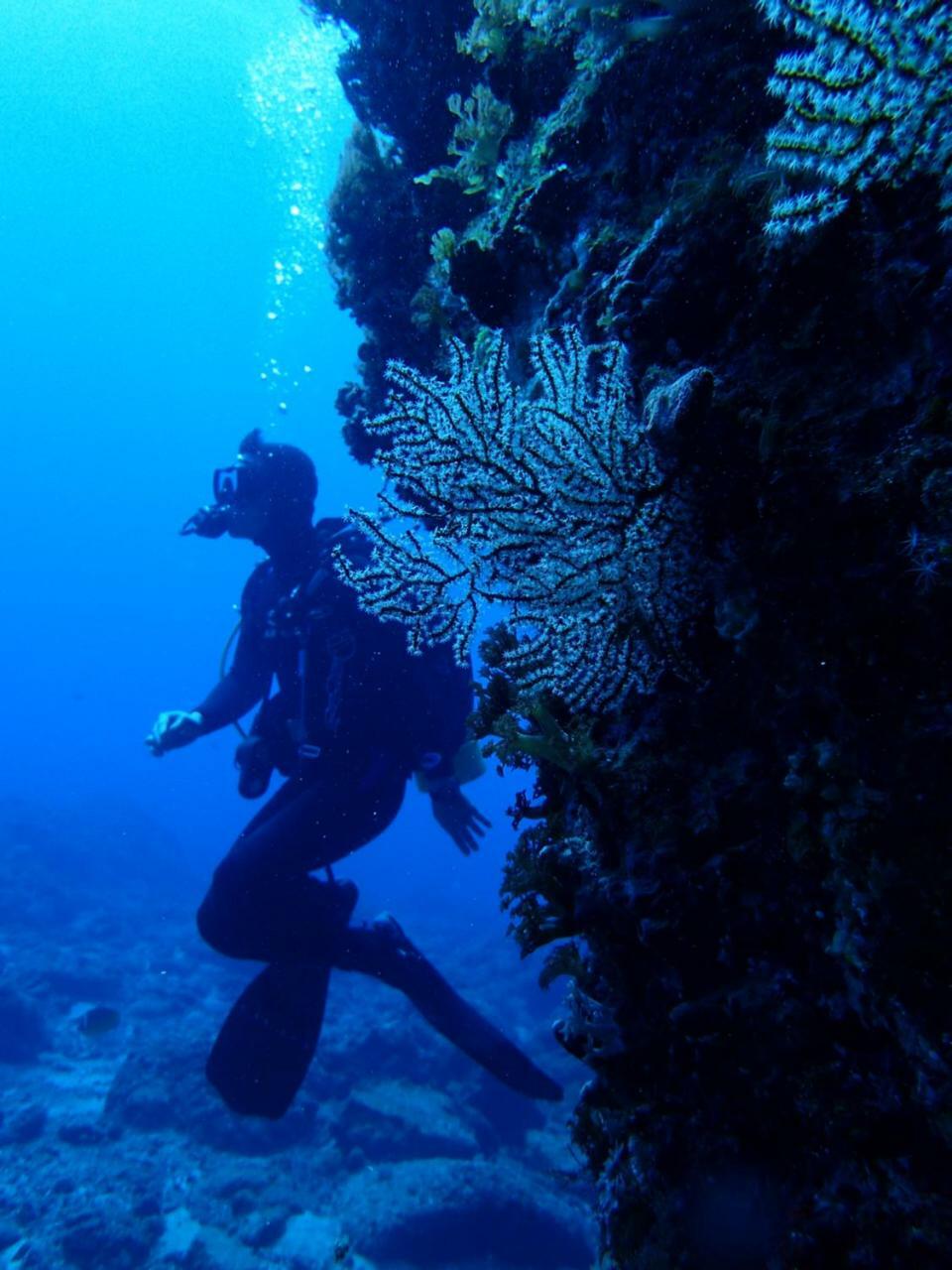 גרין איילנד Qing Feng Diving B&B מראה חיצוני תמונה